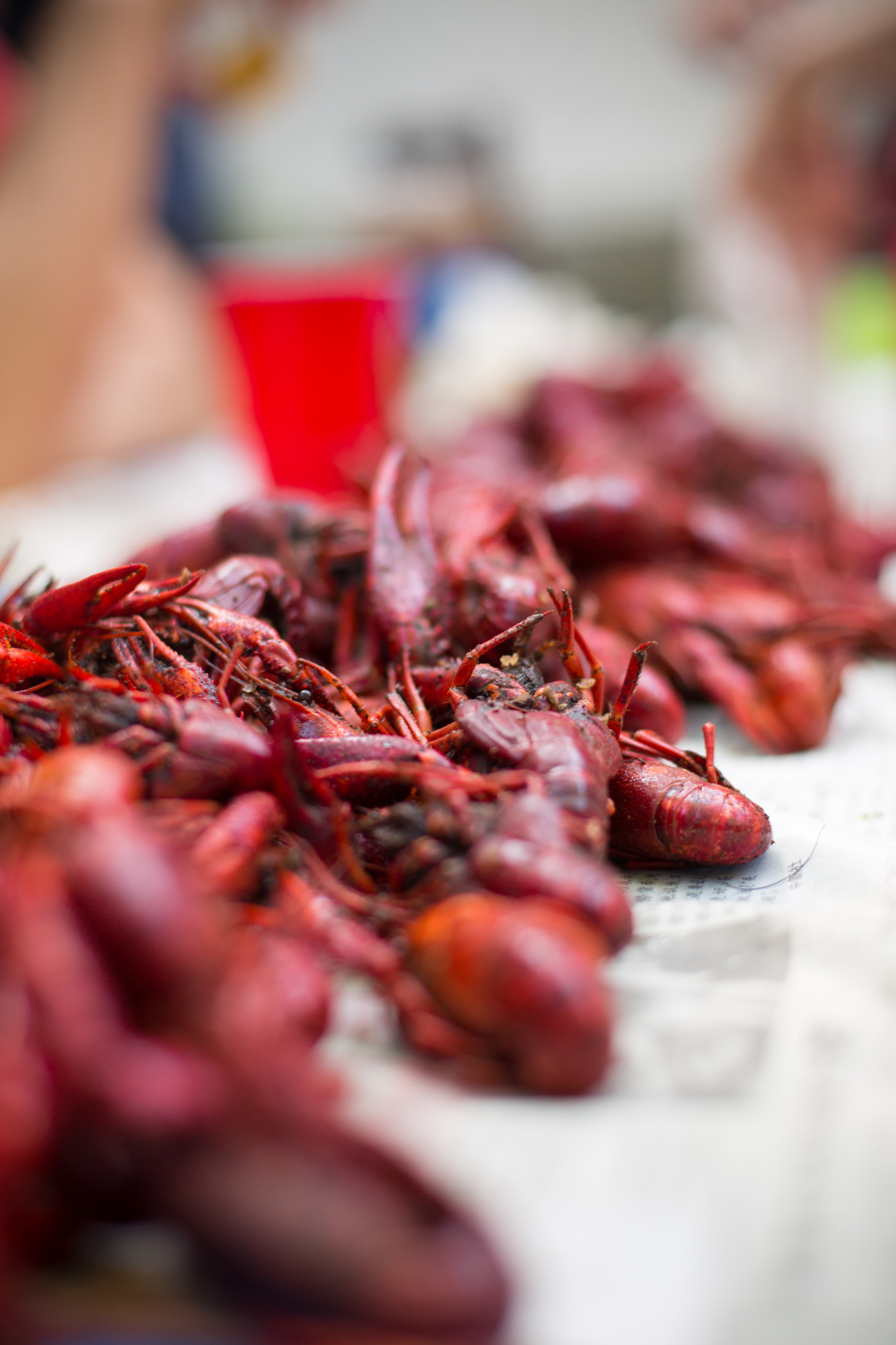 Sichuan Crawfish BoilHosted by the lovely Mike Lee and Danielle GouldWatch out for the KUNG POW POTATOES!